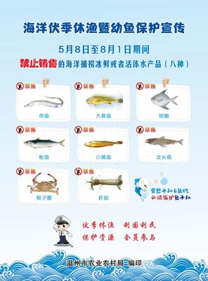 温州5月1日起全面休渔禁渔 还能吃到什么海鲜?